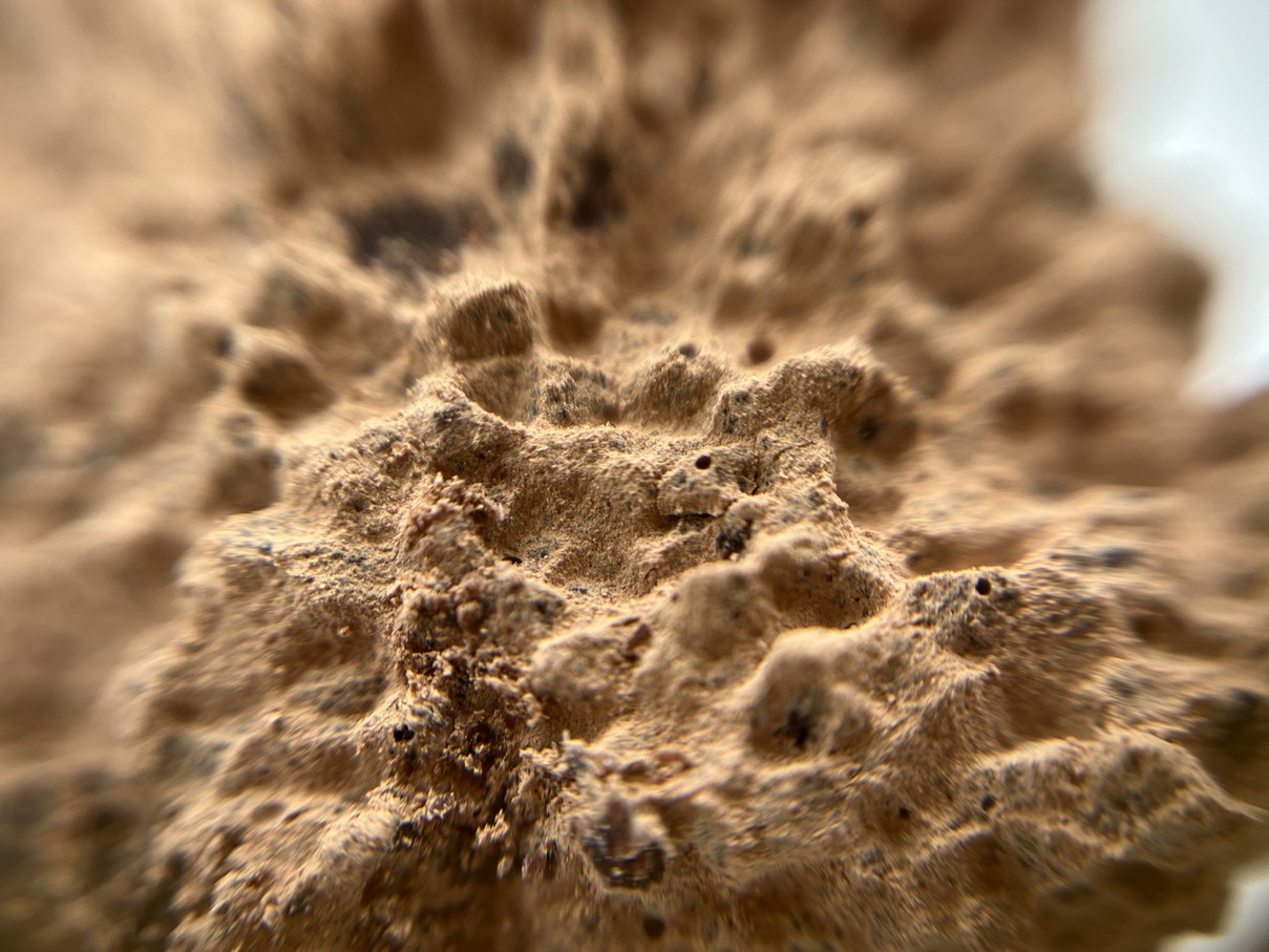 COLOMBIA Antioquia Maceo (Trinitario) *Selected